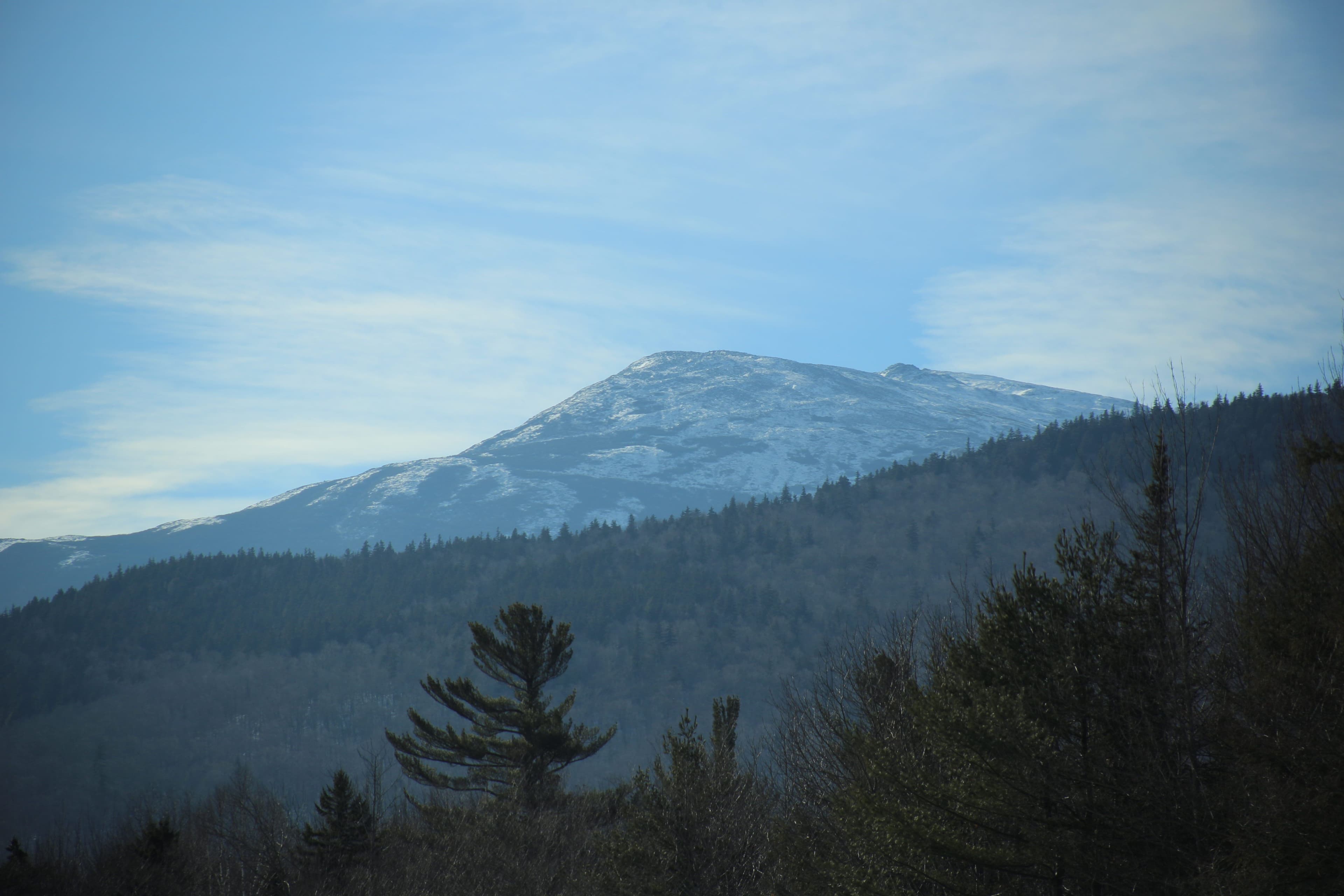 Snow-capped mountain peak above Vancouver Island forest